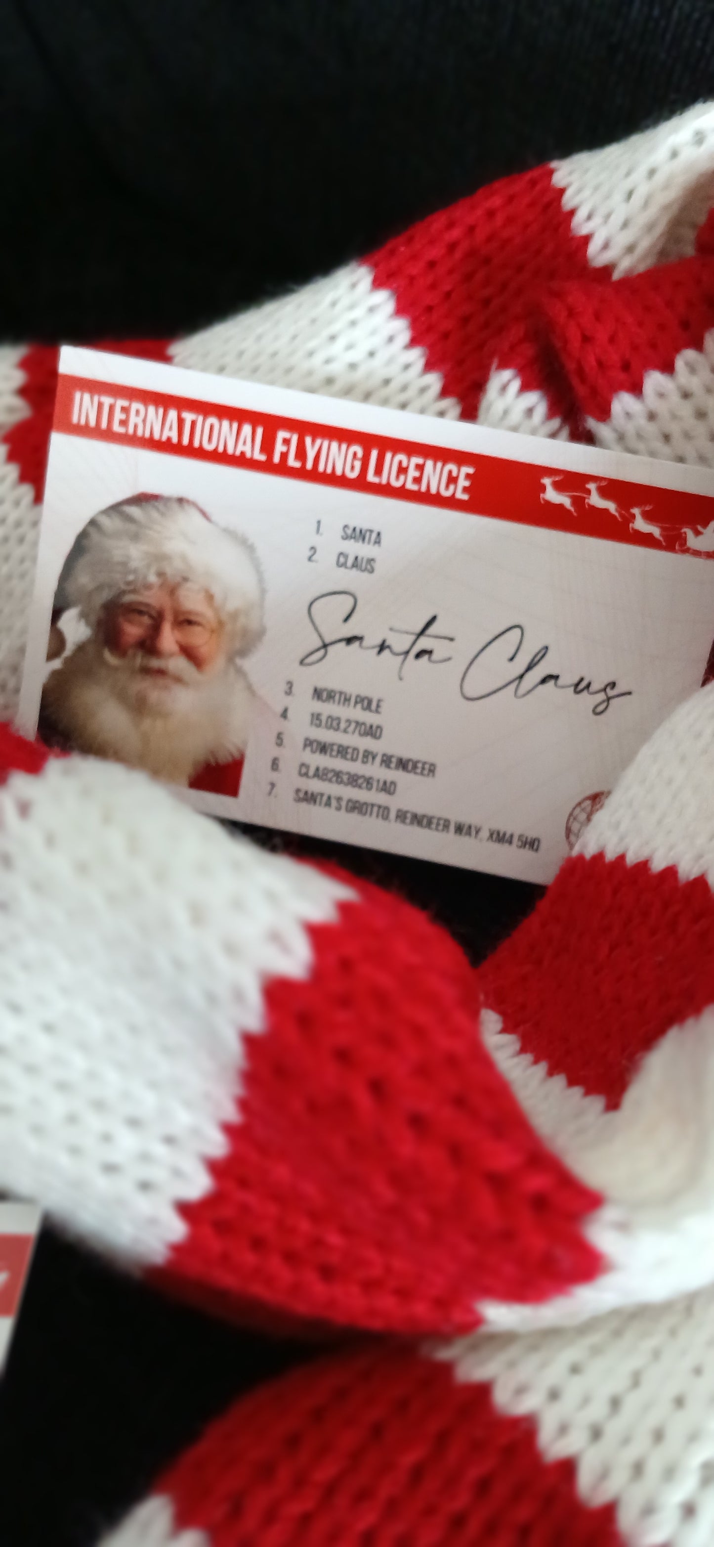 Santa Driving Licence 🛷